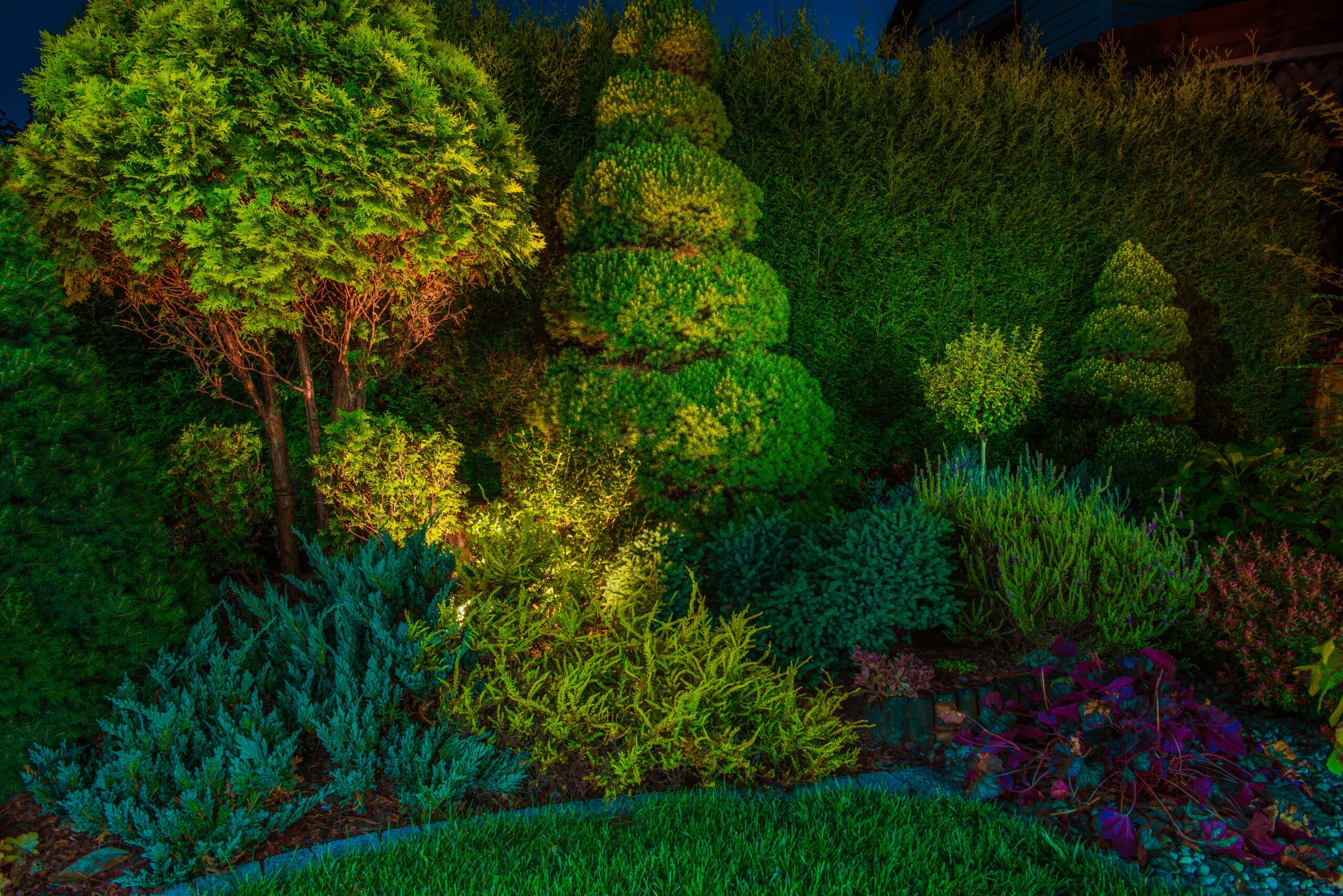 Backyard Garden Led Lighting Illumination. Beautiful Garden Illuminated by Small Spot Light Led Reflectors.