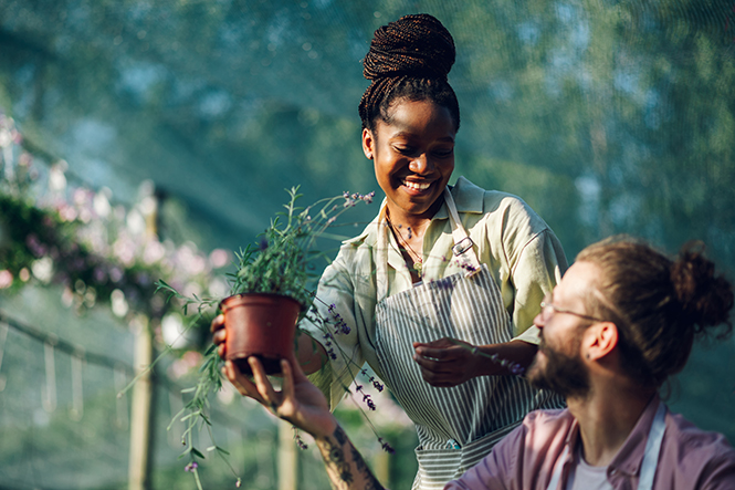 Diverse garden center workers. Multiracial couple of gardeners working and arranging colorful flowers in a sunny industrial plant nursery. Focus on a smiling african american woman.